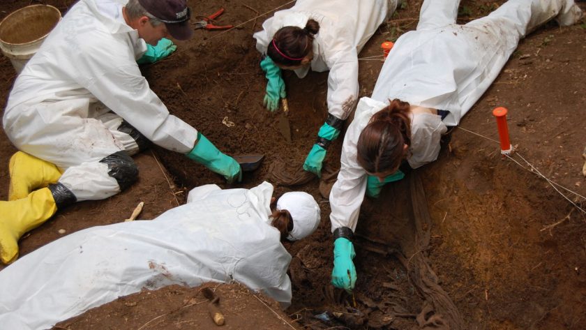 Europa por fin tendrá su granja de cadáveres