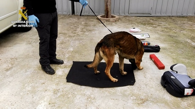 Un perro especializado en restos biológicos, clave en un caso de homicidio en Rivas