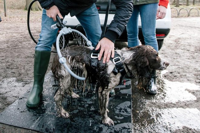 Nissan X-Trail 4Dogs, pensado para llevar perros