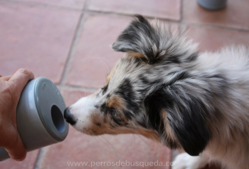 Detección deportiva: no es la edad ni la raza, son las ganas