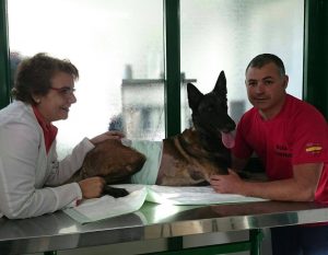 varilla de 30 centímetros