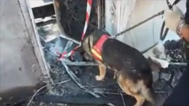 Búsqueda real de acelerantes del fuego