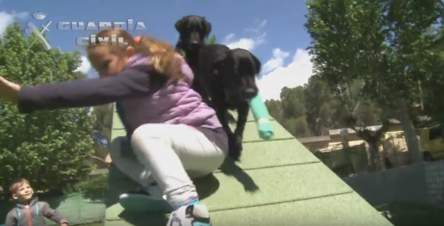 Juegaterapia y el servicio cinológico de la Guardia Civil