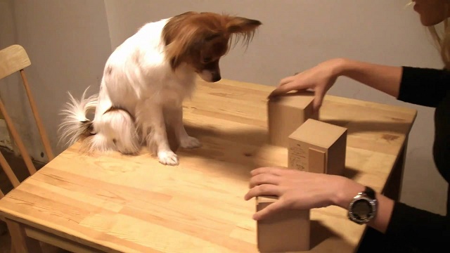 Errores comunes en la preparación de muestras olorosas