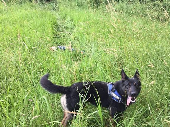 Entrevista: Un perro de rescate localiza con vida a una mujer desaparecida en Quiá