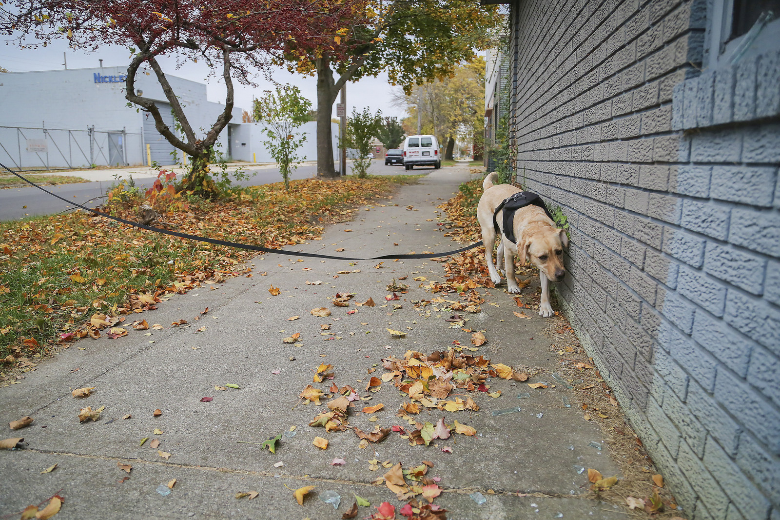 Rastro urbano: empiece bien para terminar bien