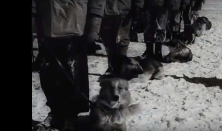 Segunda Guerra Mundial