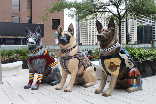 Más de 100 estatuas de agentes caninos en las calles de Chicago