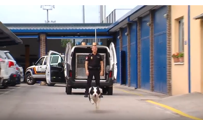 La unidad canina de la Policía Nacional de Cantabria