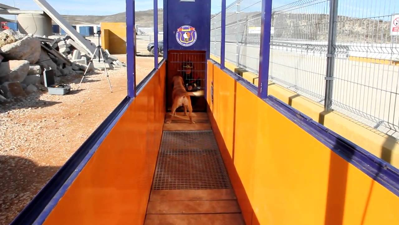 Zulo de designación o caja de ladrido, qué es y para que sirve