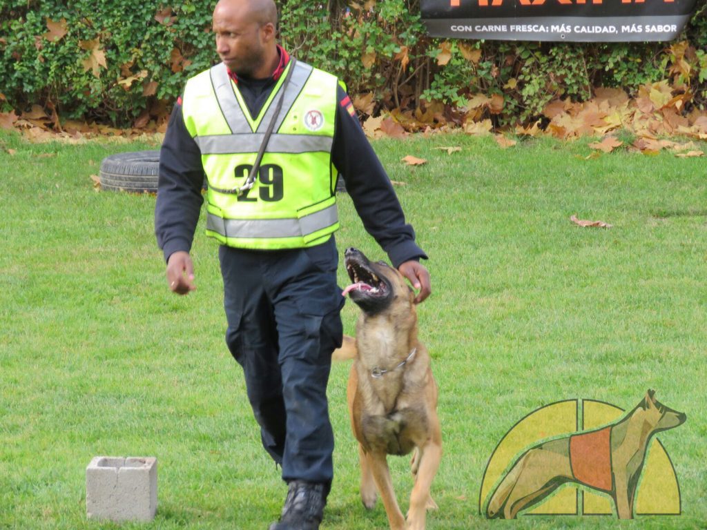 Campeonato Nacional Militar