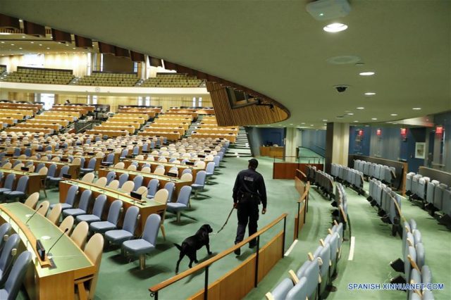 Los perros detectores de la ONU