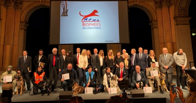 Trofeos a los perros héroes de 2017