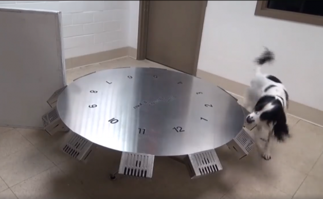 Un pequeño gran detector llamado McBaine