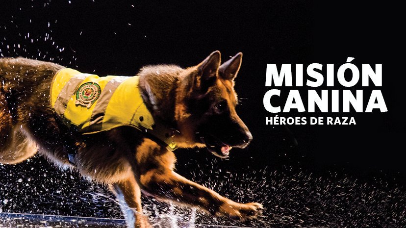Misión canina, la élite canina de la Policía Nacional de Colombia