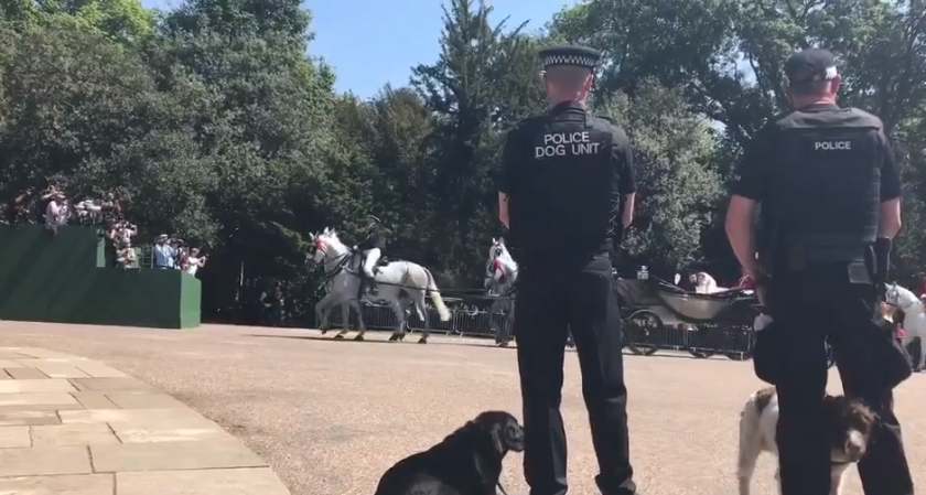 Un vídeo de la boda real de Harry y Meghan que seguro que no habías visto