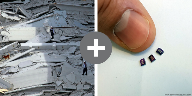 Un perro de rescate electrónico