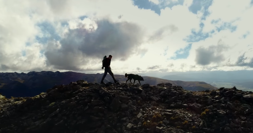 Un perro que ayuda a un loro en peligro de extinción