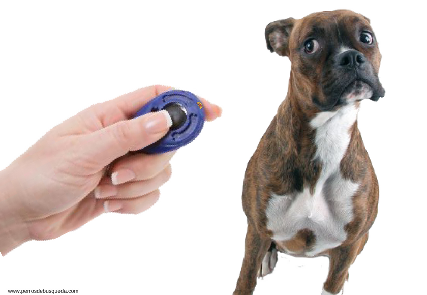 ¿Se pueden cometer errores con el clicker?