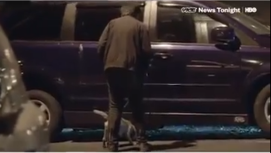 Los perros que cazan ratas en Nueva York