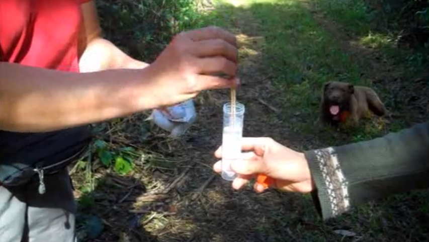 Por qué los perros detectores de heces cometen errores