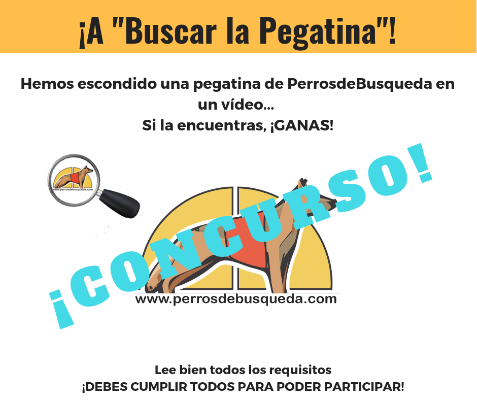 Buscar la Pegatina