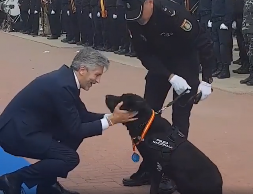 Doki y Xela, condecorados por el ministro del Interior