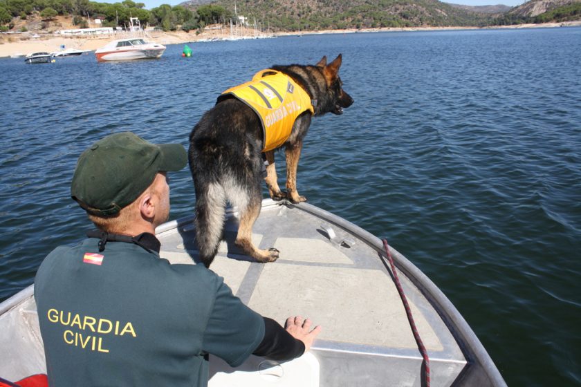Fallece Nikol, un perro de búsqueda de cadáveres sumergidos