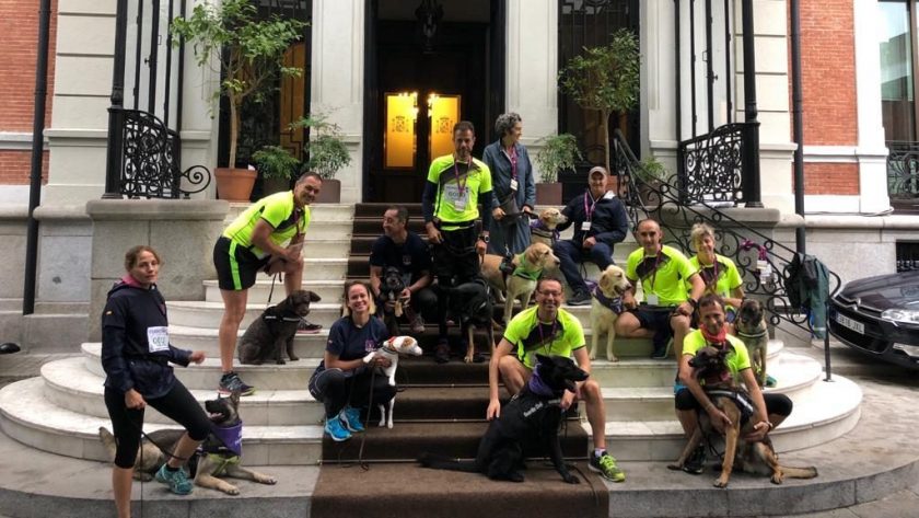 Premio de Honor en el Perrotón 2018