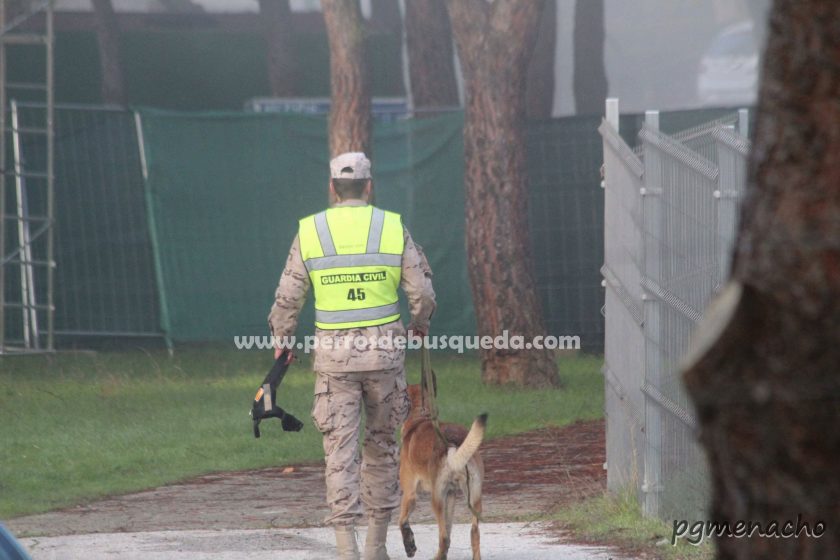 31 Campeonato Nacional Militar de Adiestradores de Perros