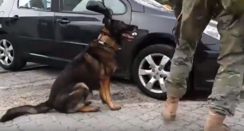 Me llamo Cico y también soy soldado