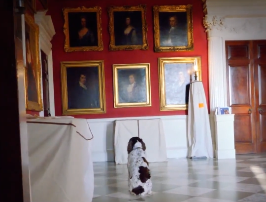 Conservadores Caninos, una nueva técnica de detección para los Museos