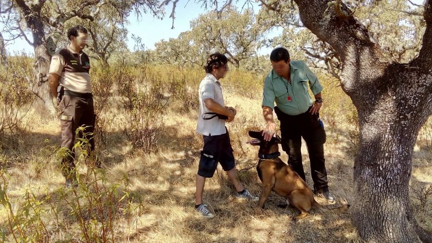 Perros que buscan… cazadores furtivos