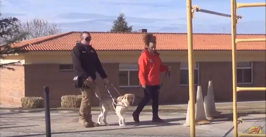 Los ojos de las personas que no ven (FOPG)