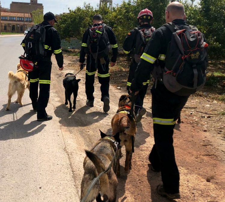 La Comunidad Valenciana regulará la actuación de los equipos caninos de búsqueda de personas