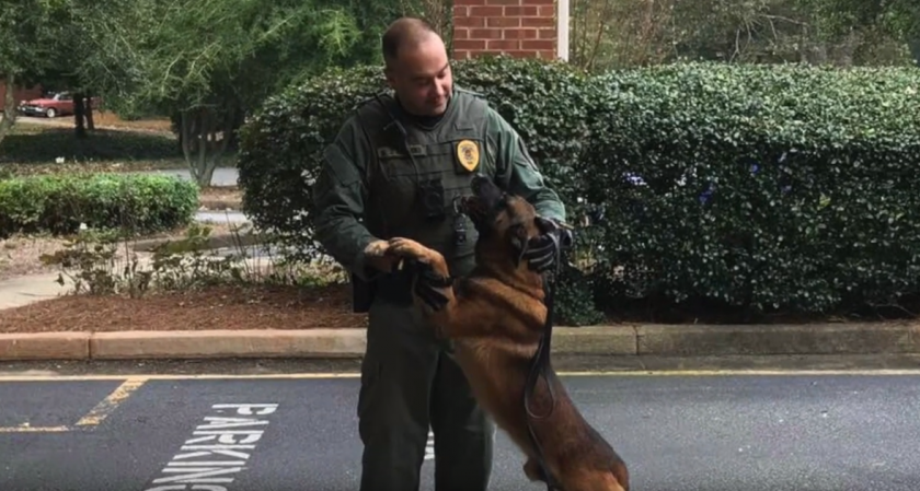 Un perro policía muere cuando perseguía a un sospechoso