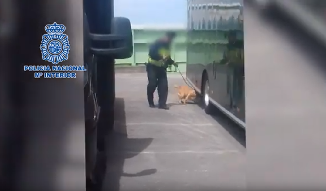 Una perra entrenada descubre a cuatro polizones ocultos en los bajos de un camión