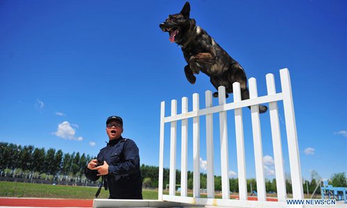 La policía de Pekin guiará a sus perros con ultrasonidos