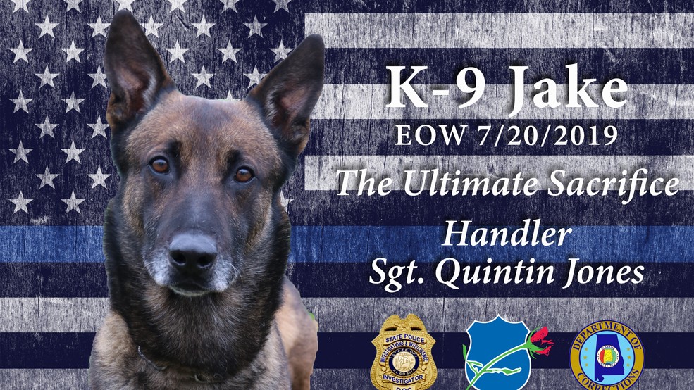 Muere un perro policía que inhaló marihuana sintética durante un registro