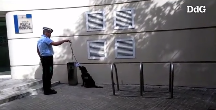 Relevo en la Unidad Canina de la Policía de Girona