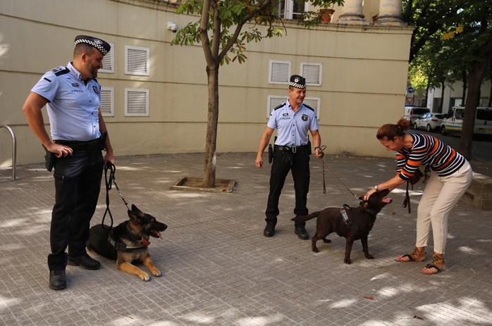 relevo Unidad Canina Policía Girona