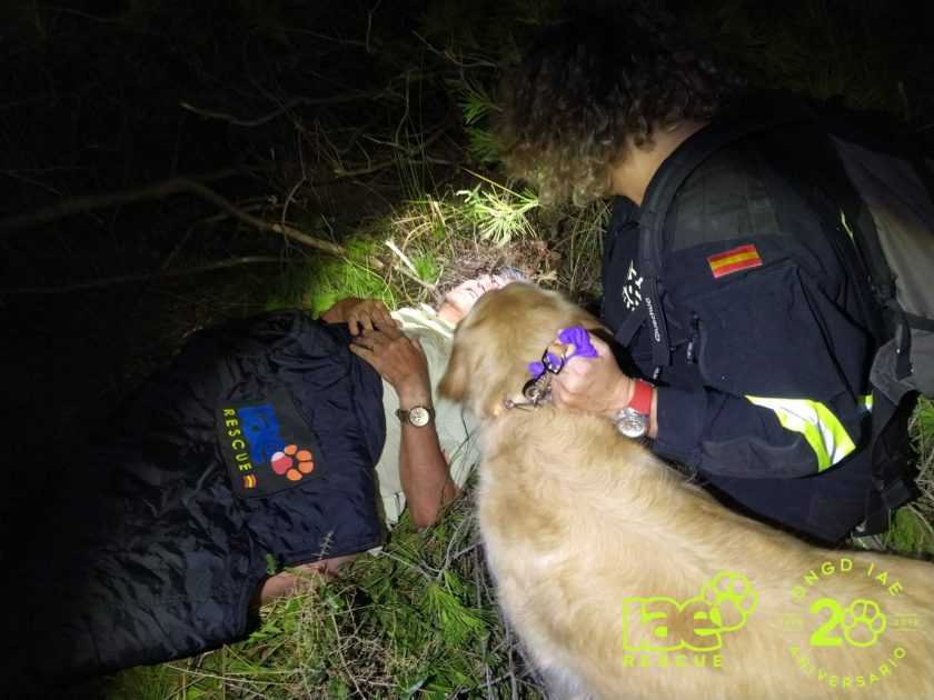 Un equipo canino localiza con vida a un desaparecido en el Saler