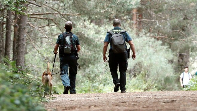 Blanca Fernandez Ochoa: equipos caninos en la búsqueda
