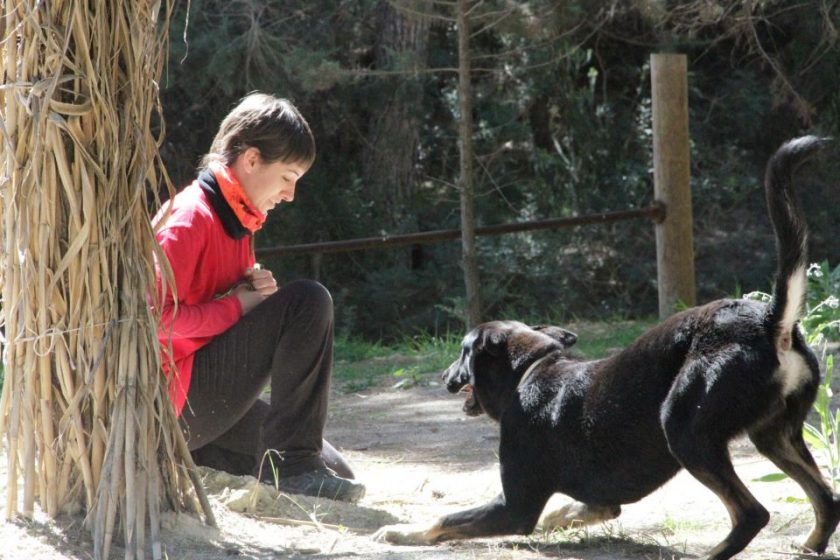 ‘Lealtad a la víctima’, clave para el perro de rescate