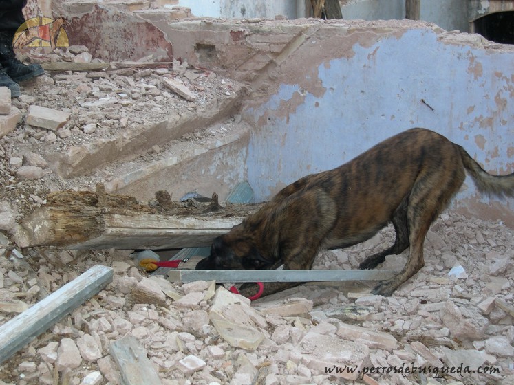 Personalizar los ejercicios de búsqueda… ¡no ahorres!