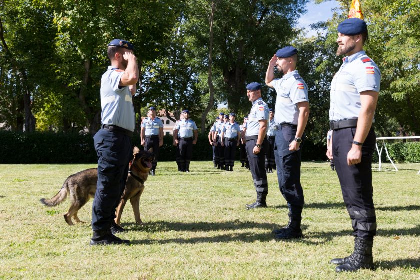 Primera despedida oficial de dos perros de la Sección de Guías de la Guardia Real
