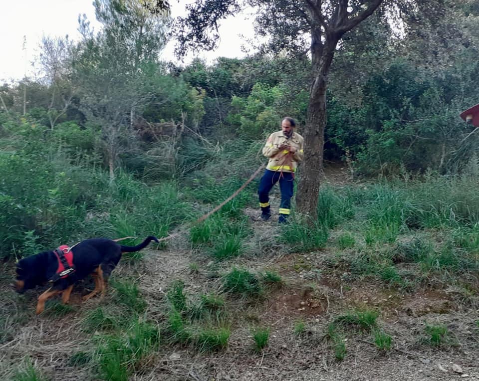 Una perra de rastro localiza  con vida a un octogenario desaparecido