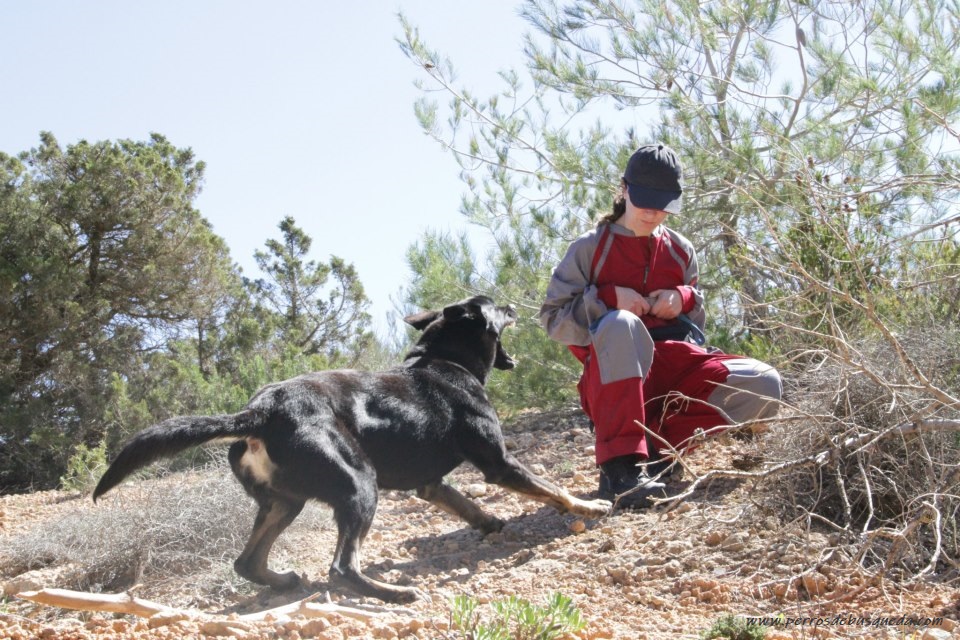 Entrenando a la víctima