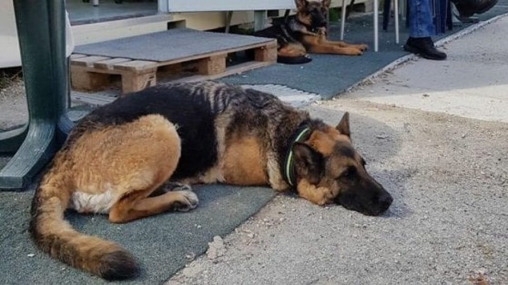 terremoto de Amatrice