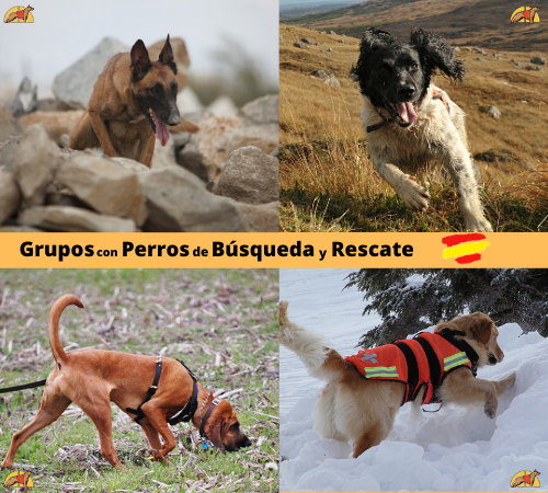 Grupos perros rescate España